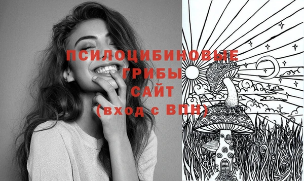 метадон Белокуриха