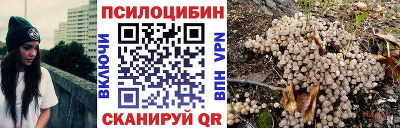Псилоцибиновые грибы Psilocybe наркота Владивосток